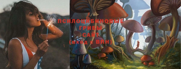 ПСИЛОЦИБИНОВЫЕ ГРИБЫ Белоозёрский