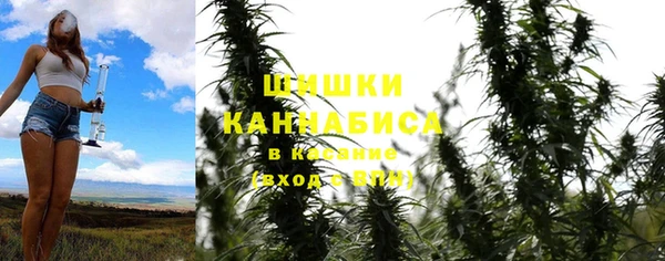 эйфоретик Белокуриха
