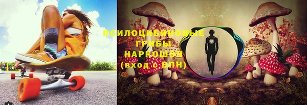 ПСИЛОЦИБИНОВЫЕ ГРИБЫ Белоозёрский