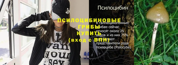 ПСИЛОЦИБИНОВЫЕ ГРИБЫ Белоозёрский