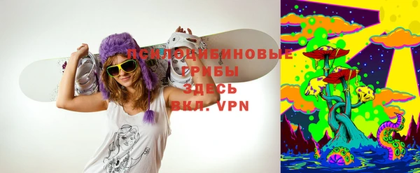 эйфоретик Белокуриха