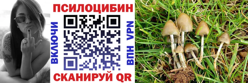 Псилоцибиновые грибы Magic Shrooms  Чекалин 